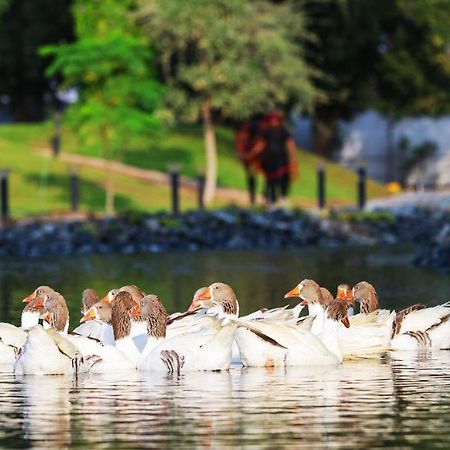 Nirvana Retreat Digdaga Екстериор снимка